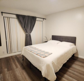 Centrally Located, 4x Queen, 300 MBPS Internet with Backyard!